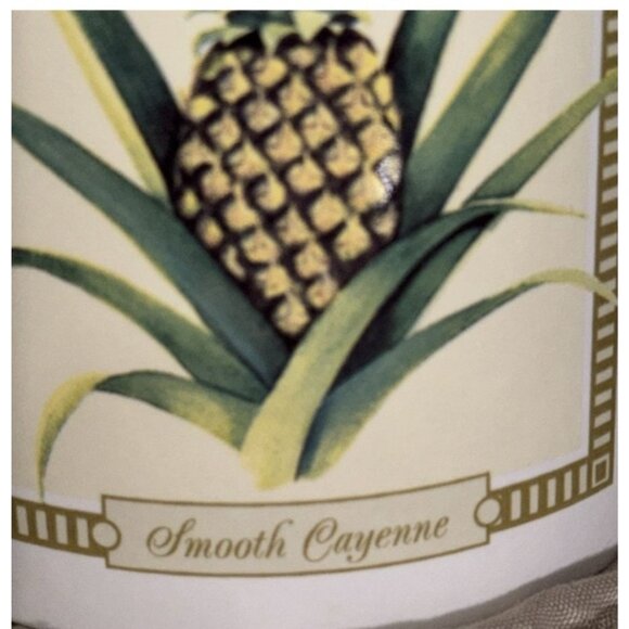 Set Of 2 Hilo Hattie Tropical Pineapples Ceramic Mugs - Picture 3 of 6